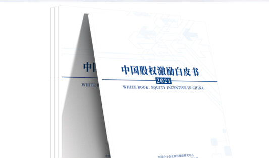 多家媒體聯(lián)合發(fā)布 | 聚焦華一世紀(jì)2021年中國(guó)股權(quán)激勵(lì)白皮書